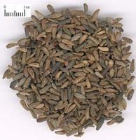 Wholesale Arctiin Extract, 40% HPLC, high quality, treat cancer,fight against acne, Manufacturer, Shaanxi Yongyuan Bio-Tech from china suppliers