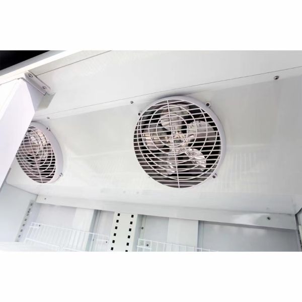 Customized Vertical Display Freezer 3 Doors Upright Display Freezer