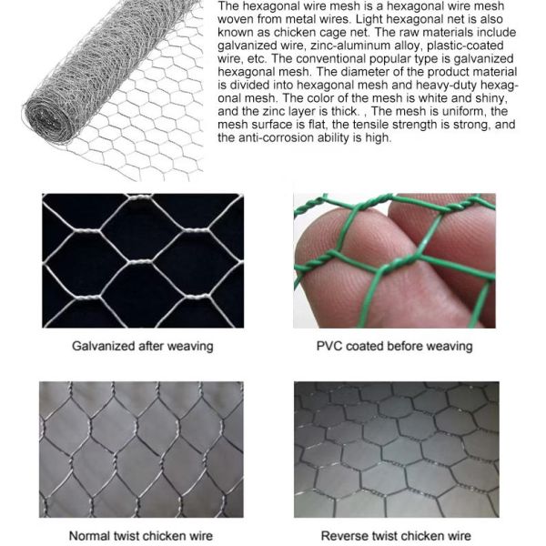 Galvanized Double Twisted Hexagonal Wire Mesh for Chicken