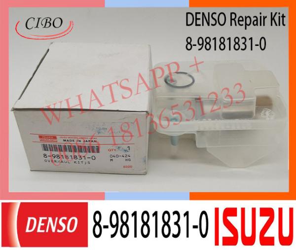 8-98181831-0 DIESEL DENSO INJECTOR PARTS REPAIR KIT 294200-0670 294200-3670 FOR