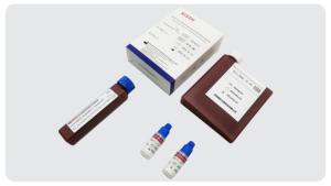 Wholesale COVID-19 Detection Neutralizing Antibodies Kit ELISA CE MARKED 32 / 48 / 96 Tests/Kit from china suppliers
