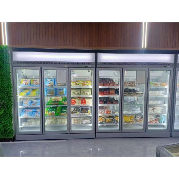 Customized Vertical Display Freezer 3 Doors Upright Display Freezer