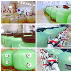 Top Mount 410mm Commercial Swimming Pool Sand Filters