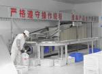 Low Noise Stainless Noodles Processing Machine , Noodles Manufacturing Machine