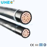 Solid Strand Copper Conductor High Temperature Nylon Coated Thhn Thwn Building