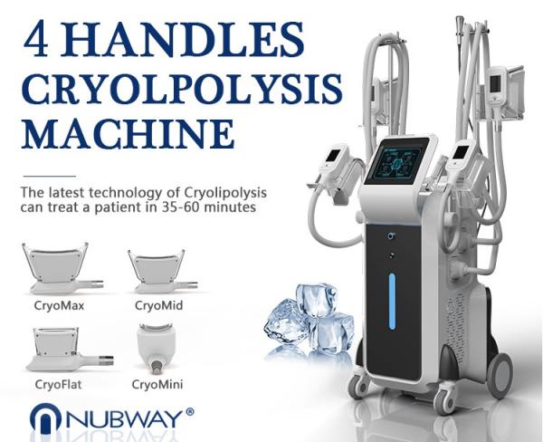 OEM/ODM Newest cryolipolysis cool shaping freezing fda approved laser weight