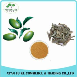 Wholesale High Quality Olive Leaf Extract Oleuropein 25% from china suppliers