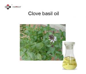 China Asthma Relief 67% Eugenol Clove Basil Oil on sale