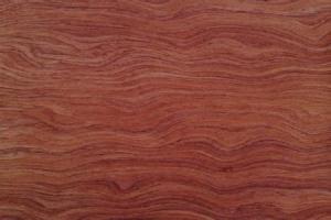 Wholesale Good price Veneered MDF from china suppliers