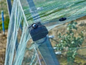 Wholesale 100% HDPE 4x50m Insect Mesh Netting For Greenhouse Nursery / Agricultural from china suppliers