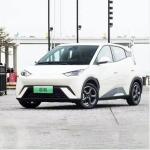 Byd Seagull 2024 The Perfect Combination of Performance and Style for Chinese