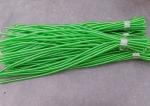 OEM China Factory Offer Long Clear/Red Bungee Lanyard Straps without Hardware