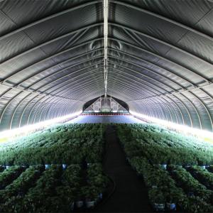 Wholesale Automatic Ventilation Light Deprivation Greenhouse With UV Resistant Polyethylene Film from china suppliers