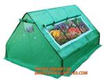 Polycarbonate strong garden greenhouse double-door green house,NEW WALK IN