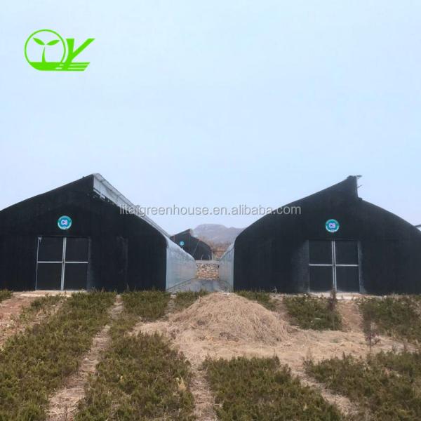 Single-Span Agricultural Greenhouses for Commercial Stable Structure Easily
