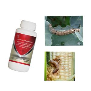 Wholesale AcNPV SC Natural Vegetable Insecticides For Flowering Plants Agricultural Biopesticides from china suppliers