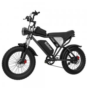 Wholesale 330lb load Off Road Fat Tire Electric Bike  Mountain Snow Electric Bicycle from china suppliers