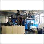 25L Full Automatic Blow Molding Machine LDPE Plastic Bottle Drum Jerry Can