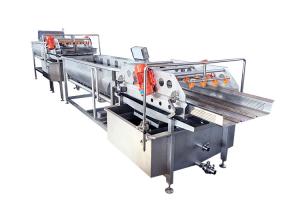 Wholesale Air Bubble Salmon Fish 4.8KW Seafood Washing Processing Machine from china suppliers