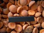 IQF Apricot Halves, pitted, unpeeled, diameter 3 - 6 cm, uncalibrated