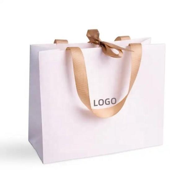 Industrial CMYK 4 Color Offset Printing Paper Bag For Shoes Clothing With Custom
