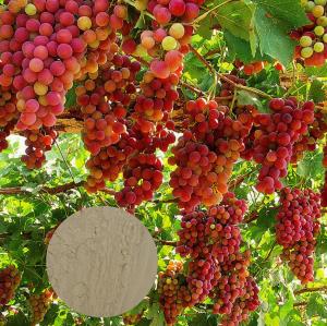 Wholesale PH7-9 Amino Acid Chelate Fertilizer Based Organic Calcium Magnesium from china suppliers