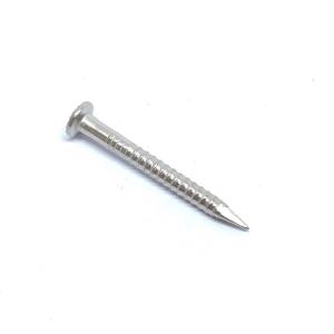 Wholesale A2 / A4 Stainless Steel Ring Shank Nails With Different Head For Wood Project from china suppliers