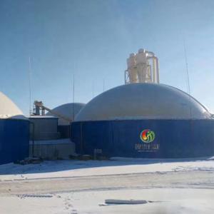 Wholesale Anaerobic Biogas Digester Biogas Production From Organic Waste from china suppliers