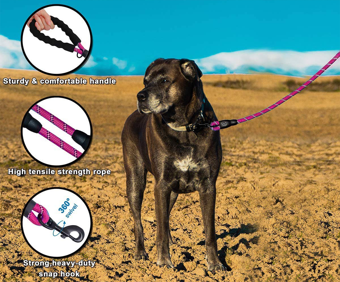 Reflective Nylon Dog Leash Acceptable OEM ODM Manufacture All-Season Market