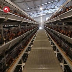 China Poultry Farming Automatic Layer Chicken Cage With Feeder And Drinker System on sale