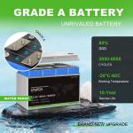 Duracell Lifepo4 Ion Lithium Rv Battery 300ah 100AH 200AH 12V ODM