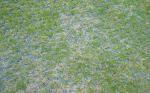 Grass Paver Grid for Horse Paddock Traditional Design and Free Spare Parts