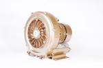 0.7kw 1hp High pressure ring blowers , vacuum pump
