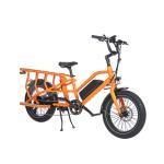 Electric Bike Dual Battery 48V500W Rear Motor for Family Maximum Load 80km Range