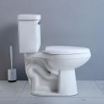 Single Flush Two Piece Elongated Toilet Right Height 12" Rough In S-Trap