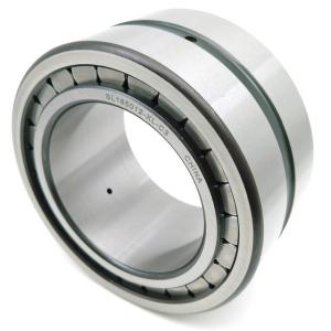 Wholesale N1006 30*55*13 Single Row Cylindrical Roller Bearings Machine Tool High Precision Spindle Bearings from china suppliers