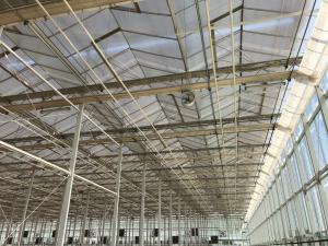 Wholesale High Yield Tomato Plant Greenhouse PC Sheet Material Hydroponic Distance 1.6m from china suppliers