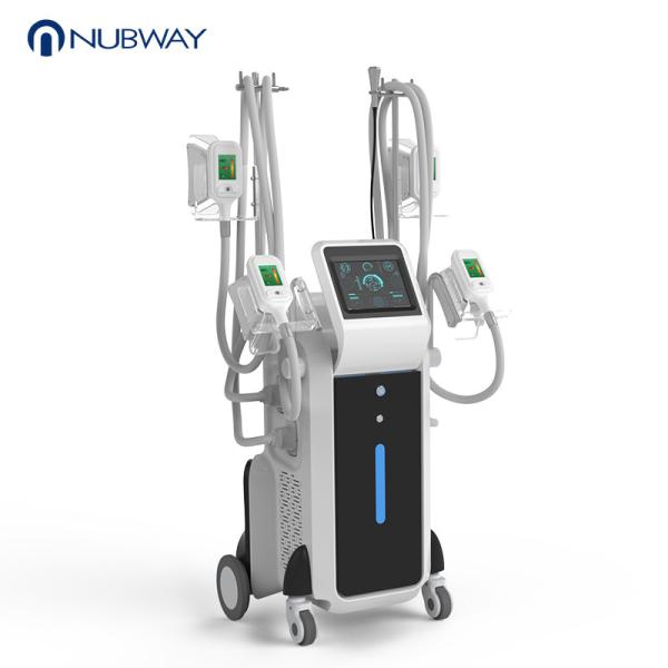 2019 China manufacturer four cryolipolysis machine for sale/criolipolisis
