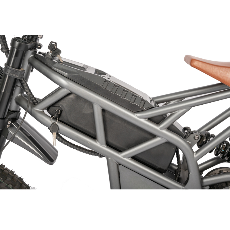 Electric Motorcycles E Bike Dirt Bike MTB Electric Bike with 48V23Ah Lithium Battery