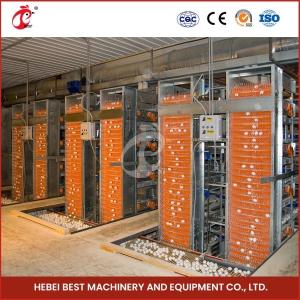 Wholesale H Type Layer And Broiler Automatic Battery Chicken Cage Equipment House Design Ada from china suppliers