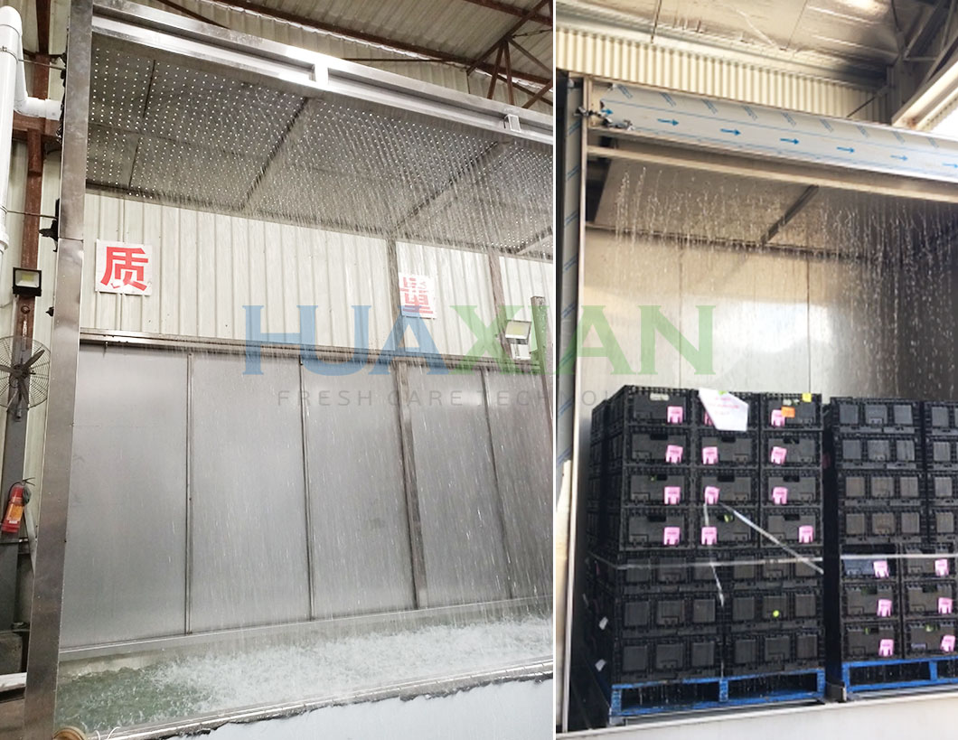 Industrial Hydro Cooler Stainless Steel 2000kgs 4 Pallet For Corns And Cherry