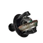 OEM Standard F202B-01 Auto Differential For CHANA Star Black