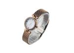 Waterproof Women Mesh Band Alloy Wristwatches With Harded Crystal Smaller design