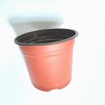 competitive price high-quality hydroponic fresh flower pot pp double color