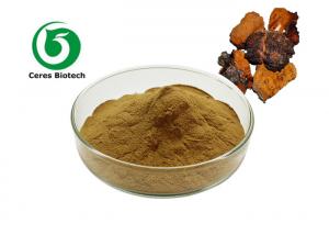 China Brown HPLC Antioxidant Chaga Mushroom Extract Powder on sale
