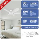 1stshine Modern DC Remote 6 Blades LED Ceiling Fan with Light and Consumption