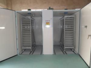 Wholesale Pneumatic Turnign High Hatchibility Single Stage Incubator Setter from china suppliers