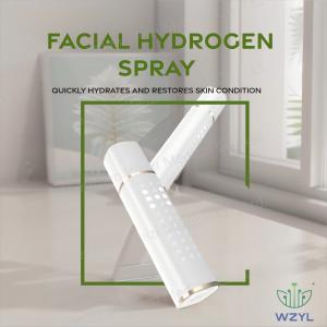 Wholesale Skincare Whitening Hydrogen Water Spray 1000PPB Portable Anti Wrinkle from china suppliers