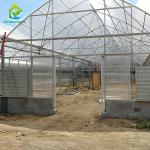 White Transparent Greenhouse Polycarbonate Sheet PC Board Greenhouse Cover