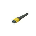 Telecommunication MPO Fiber Optic Connector 3.5 60mm 12 / 16 / 24 Cores Male